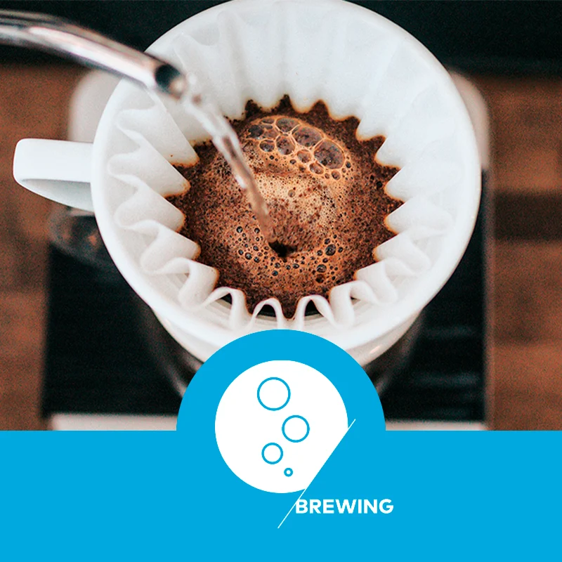 Brewing-Skills-Foundation-curso-sca-da-idcoffeelab-brasil-comprar