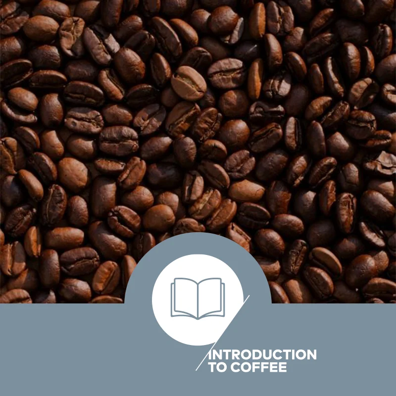 introducao-ao-cafe-curso-sca-da-idcoffeelab-brasil-comprar